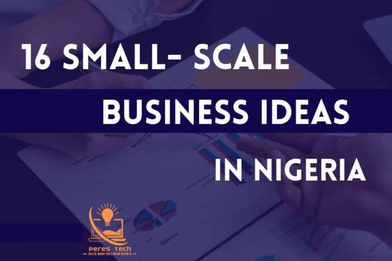 16 Small Scale Business Ideas In Nigeria and How to Get Started